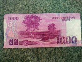 2000朝鲜币等于多少人民币(2000朝鲜币等于多少人民币汇率)
