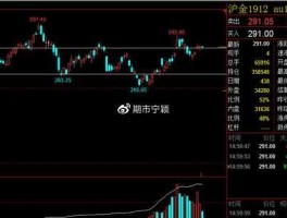 沪证指数 沪金指数什么意思？