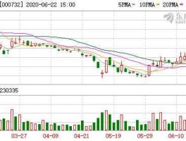 000732泰禾集团资金链（000732泰禾集团股票行情）
