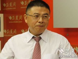 李红云，湖北省联合投资集团有限公司怎样？