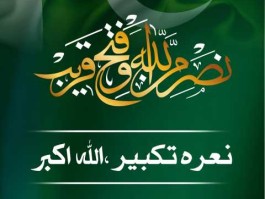 巴基斯坦空军胜利纪念币（$PAFV）预售