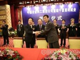 美利纸业 宁夏50强企业都是哪些啊？