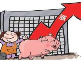 猪肉股市上涨（猪肉股票大涨能到多少）