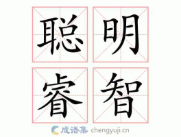 睿智？睿智是什么意思，给个造句？
