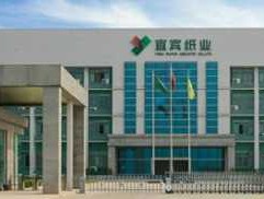 宜宾纸业（五粮液为什么要收购宜宾纸业？）