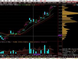 股市轩辕（股市轩辕集团）