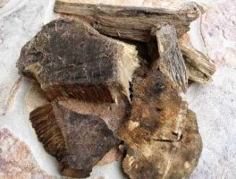 沉香吧，药店有没有卖沉香木哪里有卖云南因该有吧？