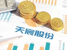 600620（600620天宸股份是什么行业？）