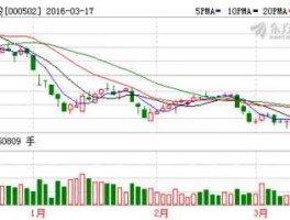 恒大股票代码000502，恒大地产为何改名绿景控股？