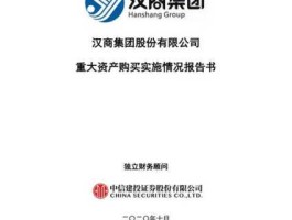 武汉汉商集团（汉商集团主营业务？）