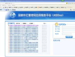 国家外汇网上申报系统（国家外汇管理局应用服务平台，怎么申报？）