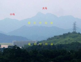 天马网（知到如何快速刷完？）