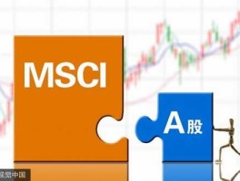 msci，“msci”是什么意思？