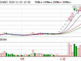 002486股票（嘉麟杰主营业务？）