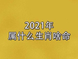 2021年属什么生肖(2021年属什么生肖五行属什么)