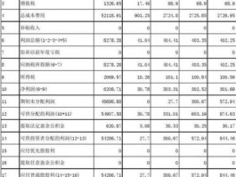 利润分配预案（利润分配方案？）