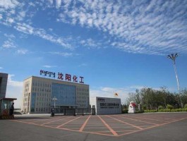 沈阳化工:沈阳化工股份（沈阳化工沈阳化工股份怎么样）