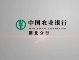 中国农业银行官网(中国农业银行官网下载)