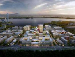 大龙地产股票？鑫都龙都府房子怎么样？