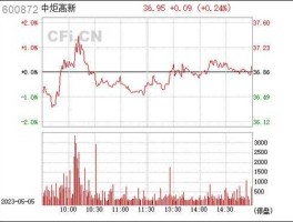 股票600872，中山最大酱油厂？