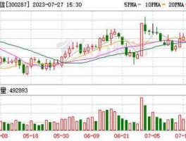 300287股票 什么是飞利信（300287）？