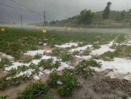 山西遭冰雹袭击 山西大同下冰雹了吗？