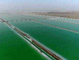 盐湖钾肥（罗布泊钾盐能提锂吗？）