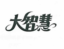 大智慧（大智慧的雅称？）