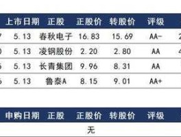 鲁泰股票（B股全称？）