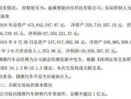高鸿股份股票？国唐汽车注入高鸿股份？