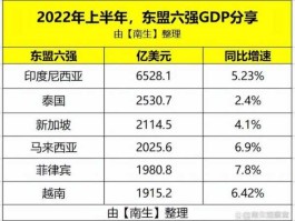 菲律宾收入和消费水平（菲律宾收入水平与消费）