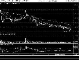 银鸽投资（银鸽投资股价最低时是多少钱一股？）