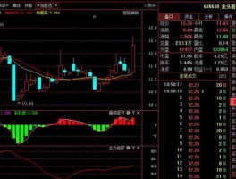 600630（600630龙头股份，觉得怎样？）