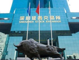 深见股市（股票深交所是什么意思）