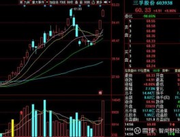 股市002847（股市002518）