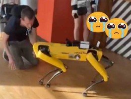 以太坊创始人V神对机器人喵喵叫！引发币圈网友热议