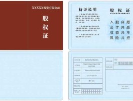 股票权证是什么意思（股票 权证）