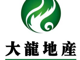 大龙地产股票（龙亿集团怎么样？）