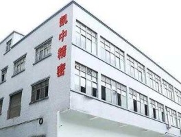 凯中精密（凯中精密坪山公司怎么样？）
