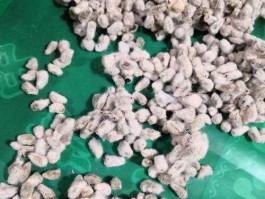 棉花价格行情（谁知道种蘑菇用的棉花籽壳多少钱一吨？）