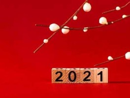2021年是什么年（2021年以后哪一年是2月2号过年？）