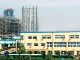 东岳硅材中签号？东岳硅材质量好吗？