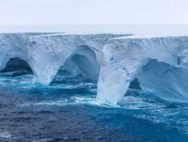 世界大冰山分裂？南极洲最大最高的冰山总面积？