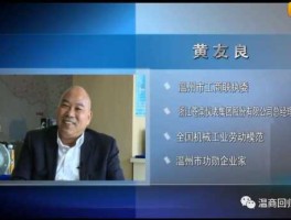 苍南仪表股市（苍南仪表厂上市）