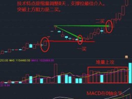 龙之股 龙说阐释的寓意？