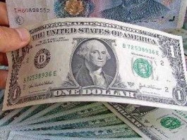 1美元人民币图片（1美元人民币图片大全）