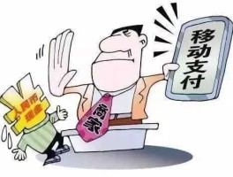 无现金（无现金支付内涵？）