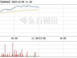 600846（京东科技股票代码600846？）