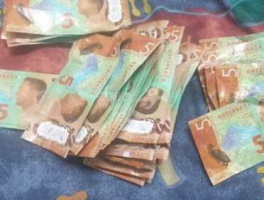 4万纽币(4万纽币合多少人民币)