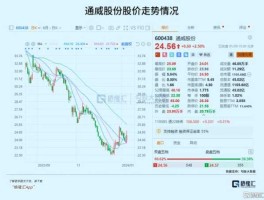 中视传媒股票，2006年世界杯什么股票大涨？